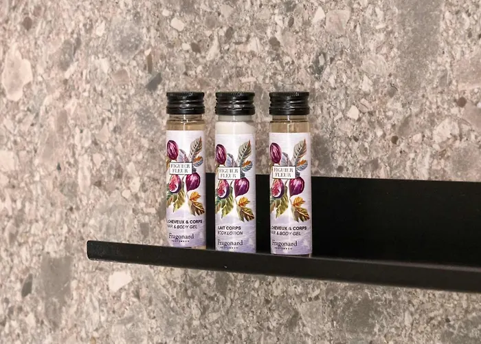 Apartment Prestige Croisette - With Panoramic Terrace And Sea View In *